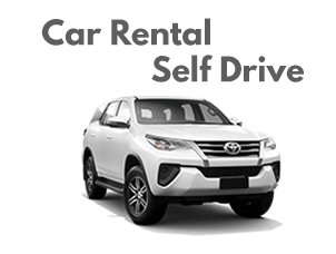 realwheelsdavao services car rental self drive
